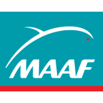 Maaf